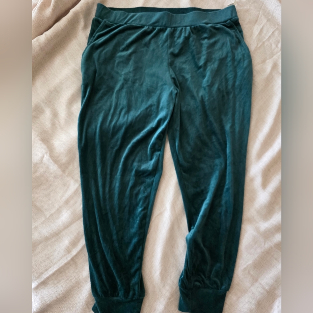 Cable & Gauge Botanical Garden Green Velour Hoodie Jogger Set, Size 2X - Picture 4 of 9
